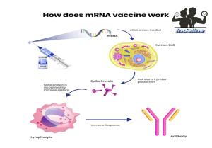 Pengembang Vaksin mRNA Menangkan Hadiah Nobel Kedokteran