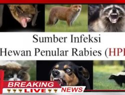 Hewan dan Rabies